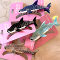 Whale Shark Clip